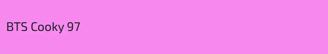 BTS Cooky 97 